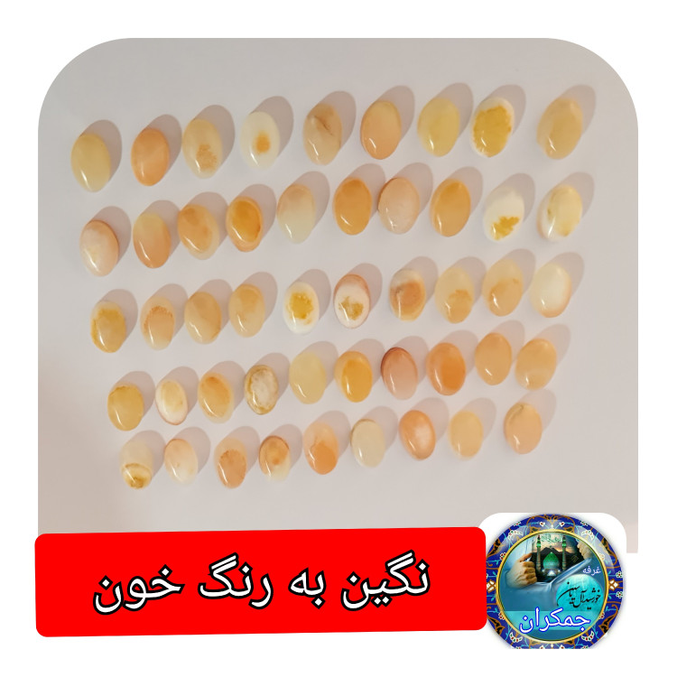 سنگ حرم امام حسین ( نگین انگشتر) با بارکد اصالت و هدیه یک عددتربت